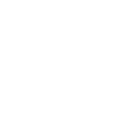 Facebook MrBricolage Icon