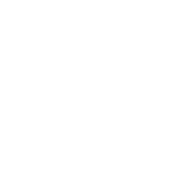 Snapchat MrBricolage Icon