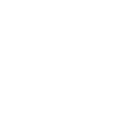 Website Icon